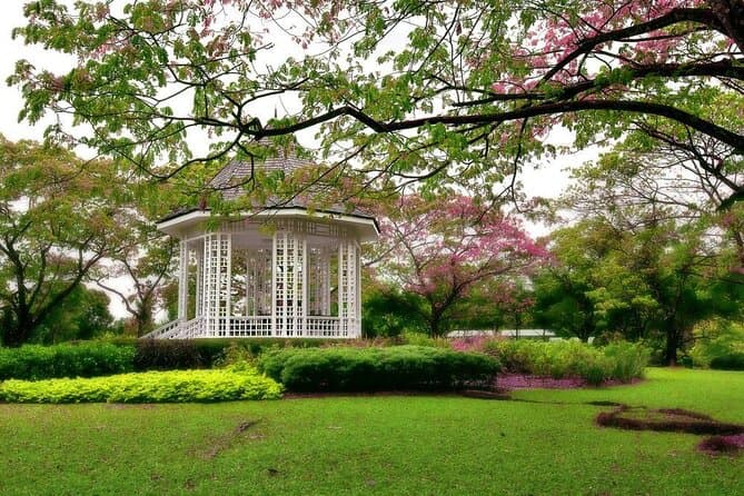 Wedding Proposal Ideas Singapore Botanic Gardens Serenade